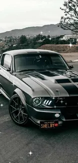 Classic muscle car on scenic road backdrop.