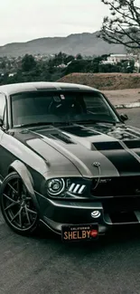 Classic Mustang car on scenic road.