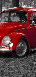 Vintage red car in autumn forest, captivating mobile wallpaper.