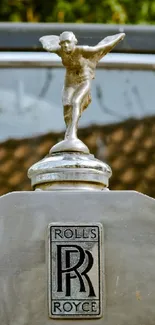 Close-up of a Rolls-Royce emblem on a vintage car hood.