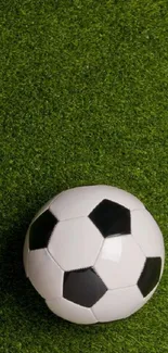 Soccer ball on green grass wallpaper for mobile devices.