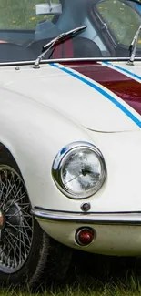 Vintage white sports car with stripes on grass.