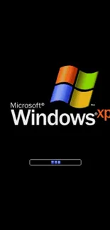 Windows XP logo on black background with vibrant colors.