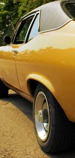 Side view of classic yellow car on sunny road.