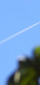 Blue sky with a jet trail and plant silhouette wallpaper.