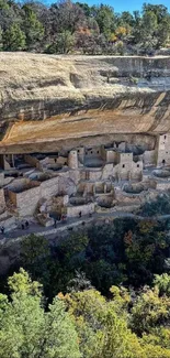 Scenic view of ancient cliff dwellings nestled in a natural landscape.