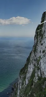 Scenic cliffside ocean view with blue sea.