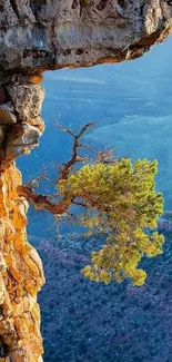 Tree on sunlit cliff against mountain scenery.