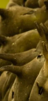 Close-up image of a slug's texture with earthy brown tones and fine details.