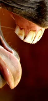 Close-up of an animal's mouth showing teeth and tongue details.