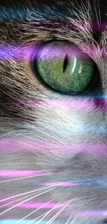 Close-up of a cat's face highlighting its green eye and fur.