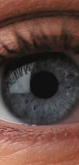 Close-up photograph of a human eye displaying intricate details and blue-gray tones.