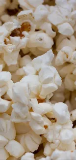 Close-up view of fluffy popcorn, perfect for a mobile wallpaper.