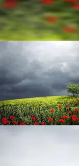 Cloud Flower Plant Live Wallpaper