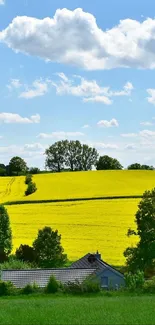 Serene countryside landscape with fields, trees, and sky.