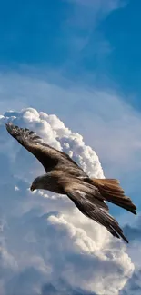 Cloud Sky Bird Live Wallpaper