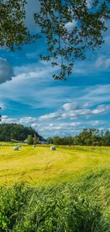 Cloud Sky Plant Live Wallpaper