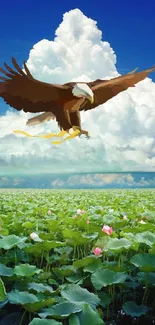 Eagle soaring above a lush lotus field under a bright blue sky.