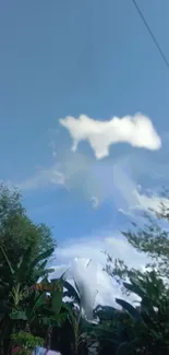 Cloud Sky Plant Live Wallpaper