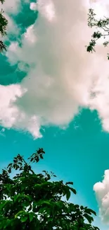 Bright blue sky with fluffy clouds and green leaves.