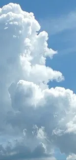 Fluffy white clouds against a blue sky, serene mobile wallpaper.