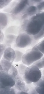 An airplane silhouette against a backdrop of soft, gray clouds.