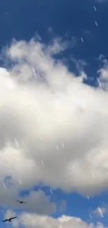 Blue sky wallpaper with clouds and birds flying.