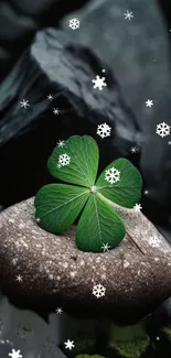 Clover on a stone with snowflakes, a serene nature wallpaper for mobile.