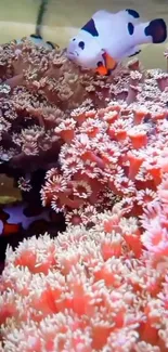 Clownfish swimming through a vibrant coral reef in a captivating ocean scene.