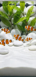 Clownfish swimming in a white stone aquarium with green plants.
