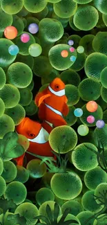 Orange clownfish swimming in lush green coral with colorful bubbles.