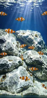 Clownfish swimming over rocks in clear blue water.
