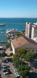 A scenic view of a coastal cityscape with marina and ocean.