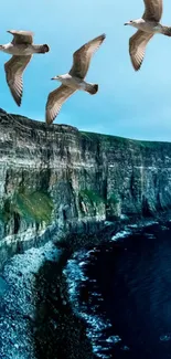 Seagulls fly over a rugged coastal cliff with a deep blue ocean below.