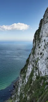 Coastal cliff overlooking deep blue ocean under a clear sky.