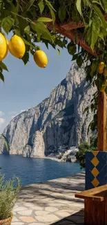 Lemon garden with coastal view and cliffs