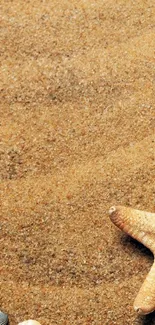 Serene beach wallpaper with sand and starfish, exuding coastal tranquility.