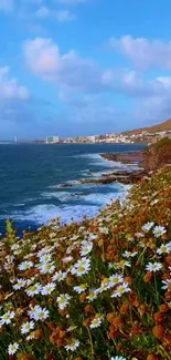 Sunlit daisies on a coastal cliff with a blue ocean view.