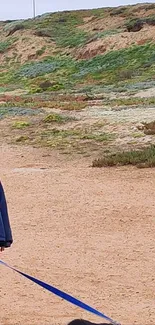 Man walking dog on a sandy beach path.