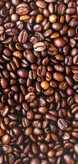 Close-up texture of roasted coffee beans.