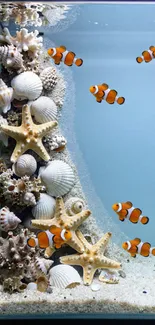 Clownfish swimming in a seashell-studded aquarium.