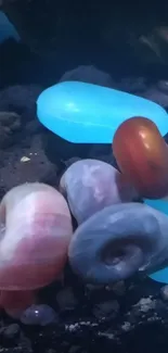 Colorful snails on black gravel with glowing blue stones in aquarium.