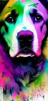 Colorful artistic dog portrait with vibrant splashes of pink and green.