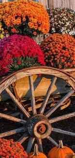 Charming autumn flower cart with pumpkins and vibrant blooms.