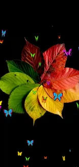 Vibrant autumn leaves on black background, featuring green, yellow, and red hues.