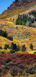 Vibrant autumn mountain with colorful foliage.