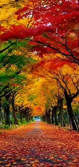 Colorful autumn pathway with vibrant leaves and trees.