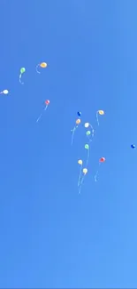 Colorful balloons floating against a blue sky.