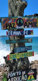 Colorful beach signs on a tree trunk against ocean waves.