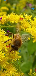 Bee on yellow flowers with colorful butterflies.